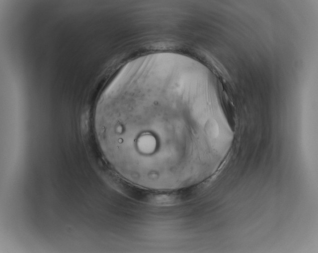 X0000111830163200908201158