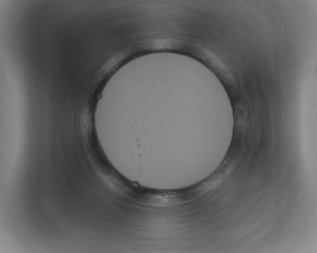 X0000111830164200908201158