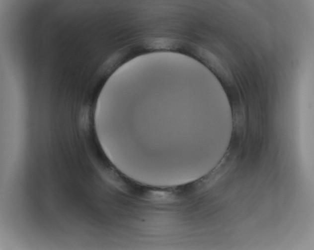 X0000111830167200908201158