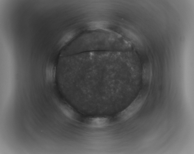 X0000111830168200908201158