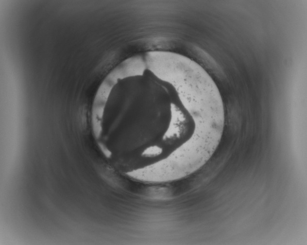 X0000111830169200908201158