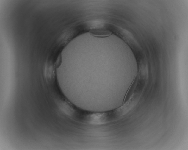 X0000111830172200908201158