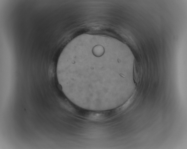 X0000111830174200908201158