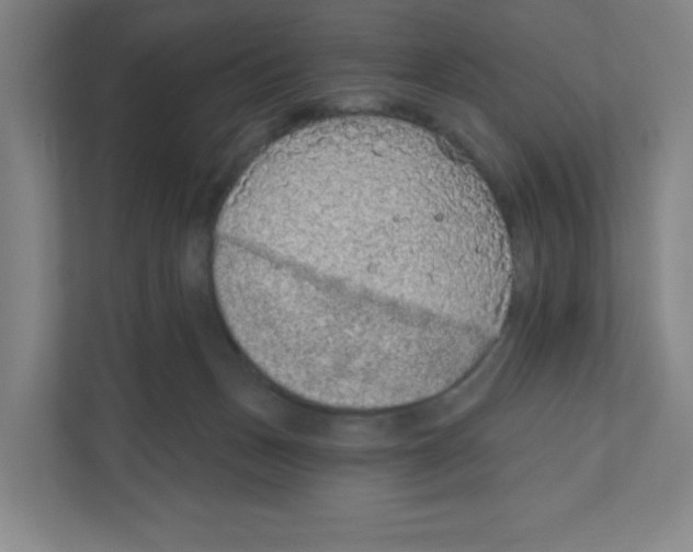 X0000111830175200908201158