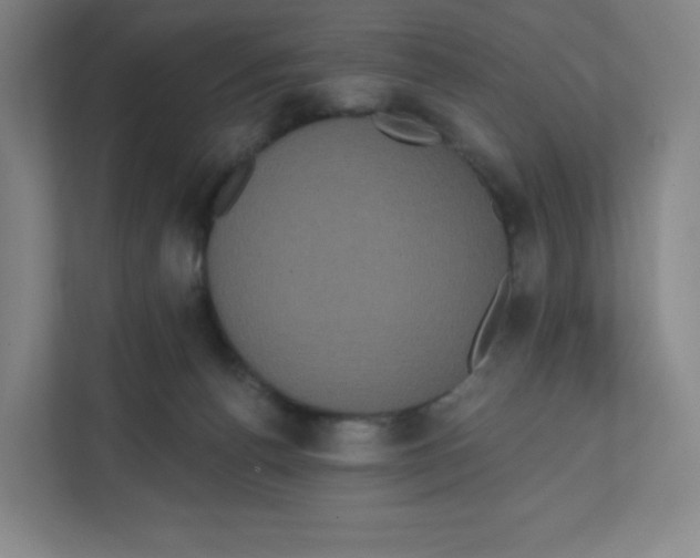 X0000111830176200908201158