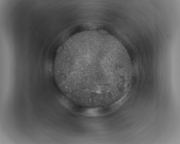 X0000111830178200908201158