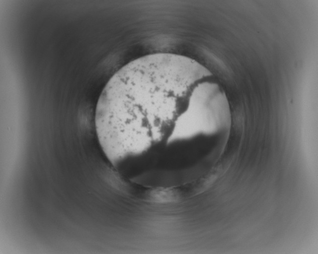 X0000111830181200908201158