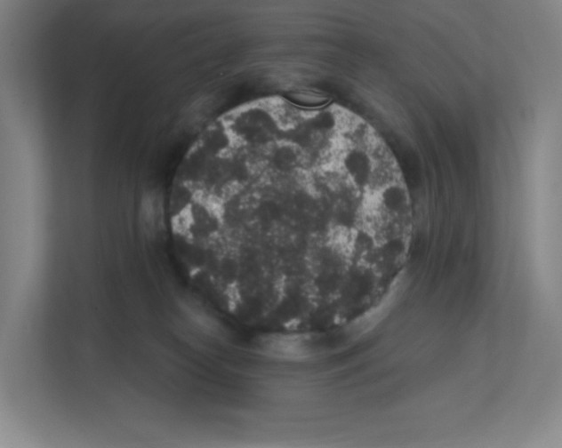 X0000111830182200908201158