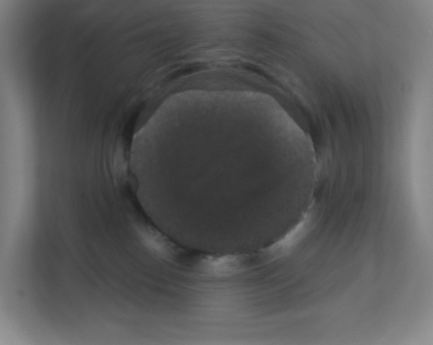 X0000111830186200908201158