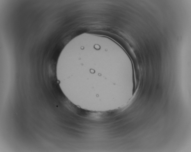 X0000111830190200908201159