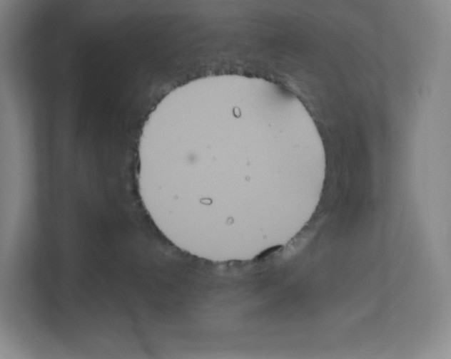 X0000111830192200908201159