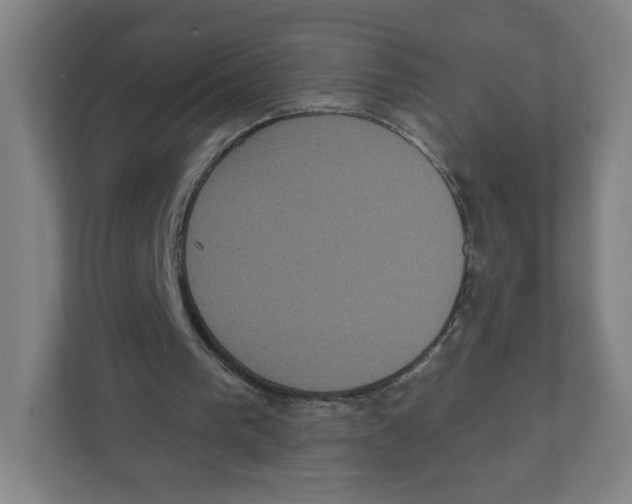 X0000111830193200908201158