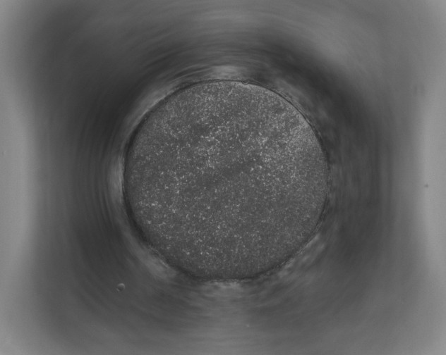 X0000111830194200908201158