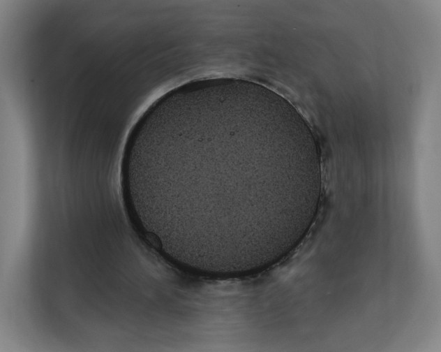 X0000111830196200908201158