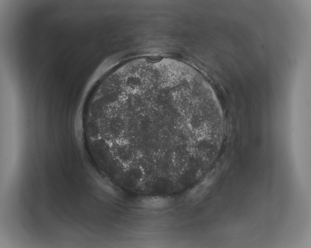 X0000111830198200908201158