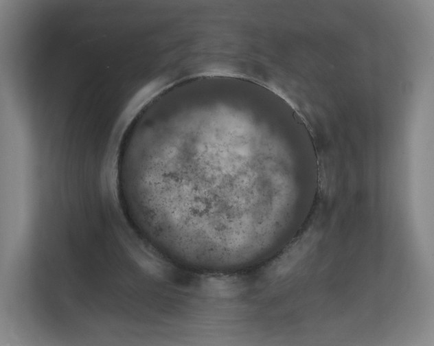 X0000111830199200908201158