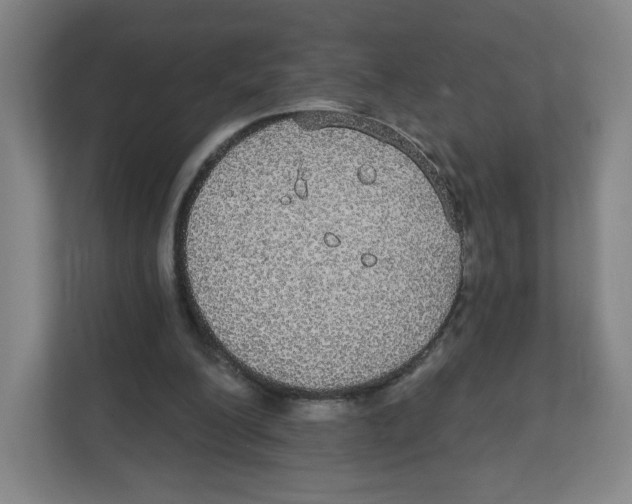 X0000111830200200908201158