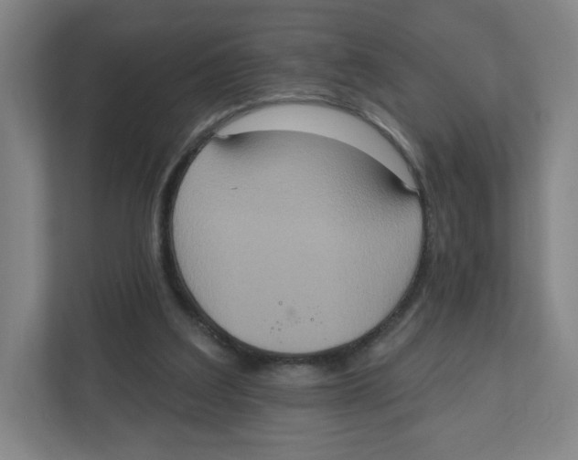 X0000111830203200908201158