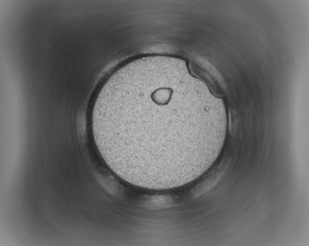 X0000111830204200908201158