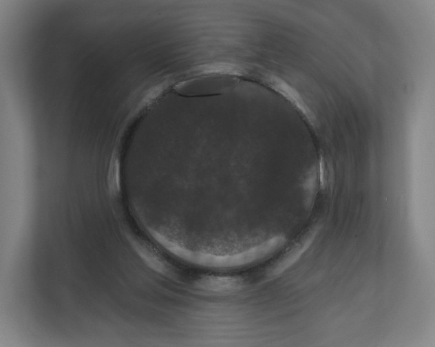 X0000111830205200908201158