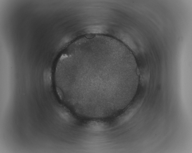 X0000111830207200908201158