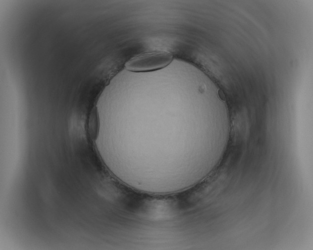 X0000111830209200908201158