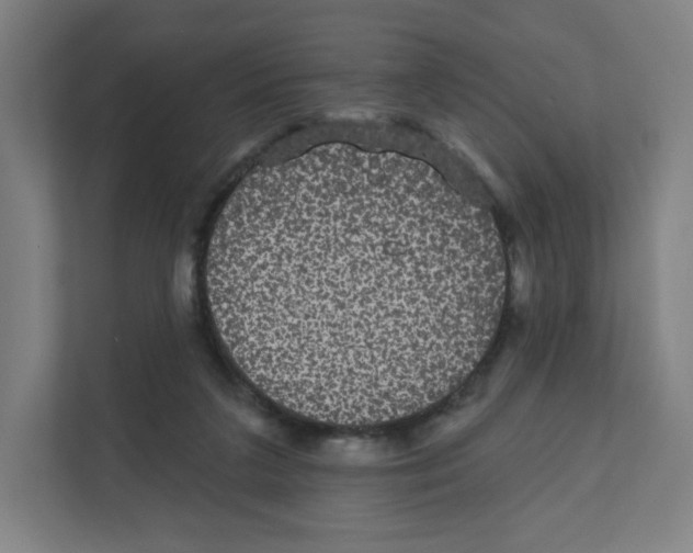 X0000111830211200908201158