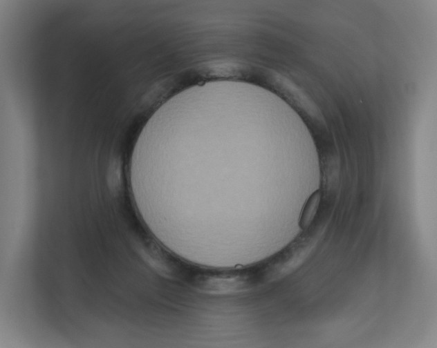 X0000111830213200908201158