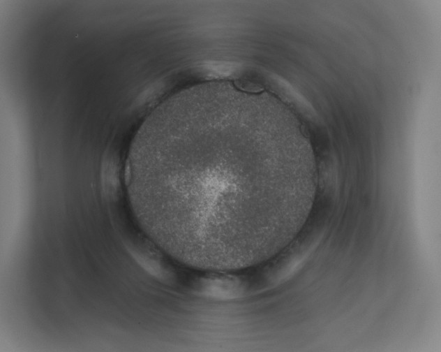 X0000111830215200908201158