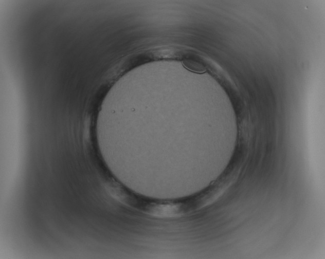 X0000111830217200908201158