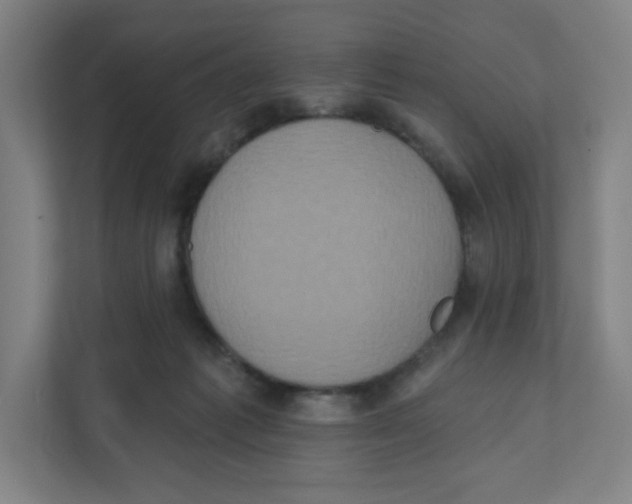 X0000111830221200908201158