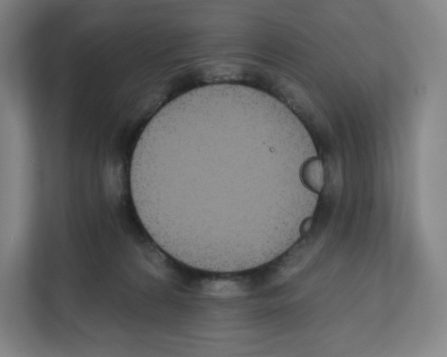 X0000111830224200908201158