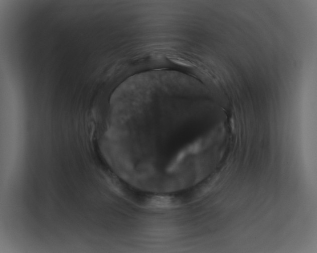 X0000111830227200908201158