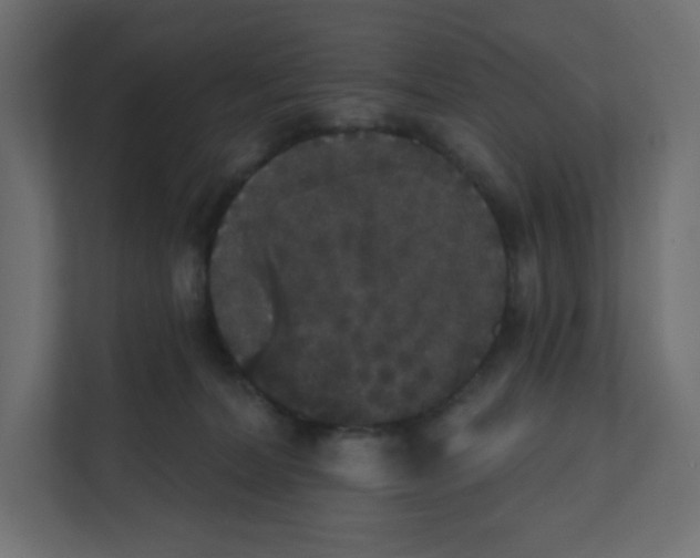 X0000111830228200908201157