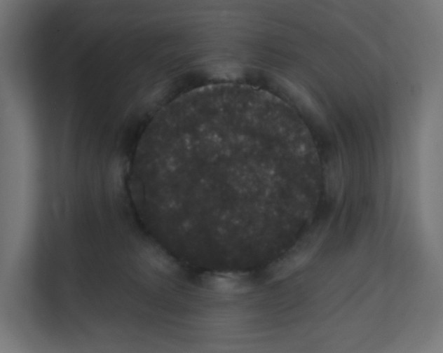 X0000111830229200908201157