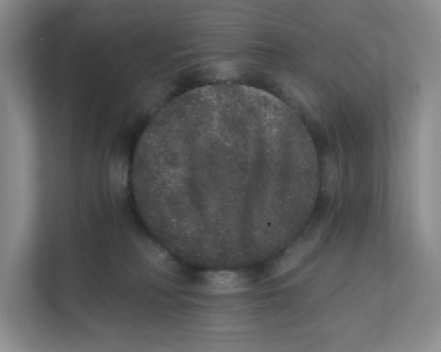 X0000111830230200908201157