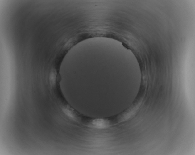 X0000111830231200908201157