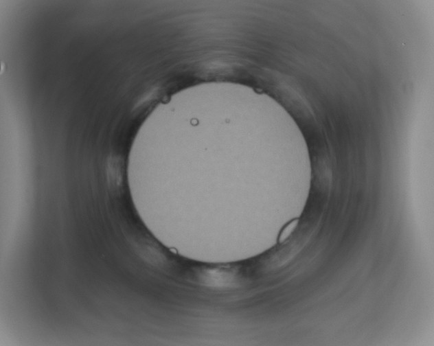 X0000111830232200908201157