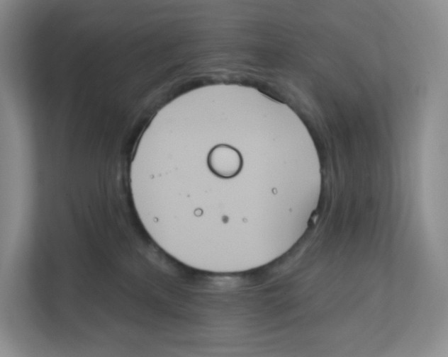 X0000111830233200908201157