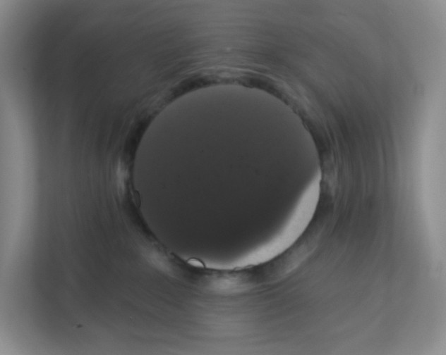 X0000111830235200908201157