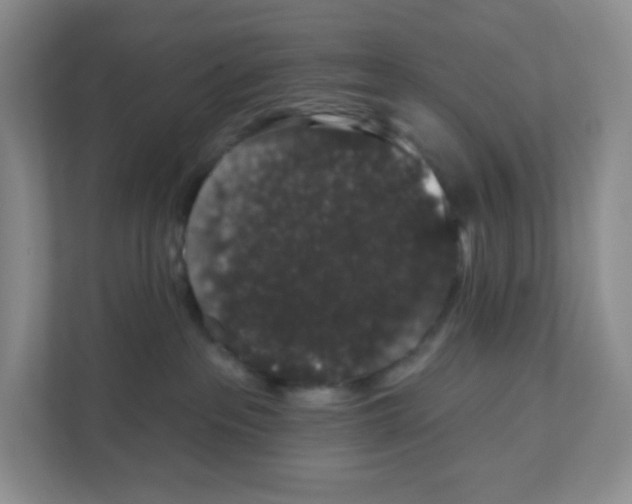 X0000111830237200908201157