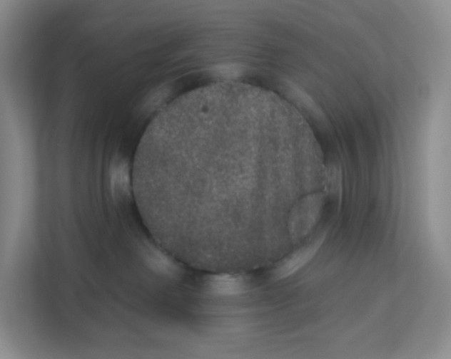 X0000111830238200908201157