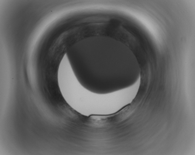 X0000111830239200908201157