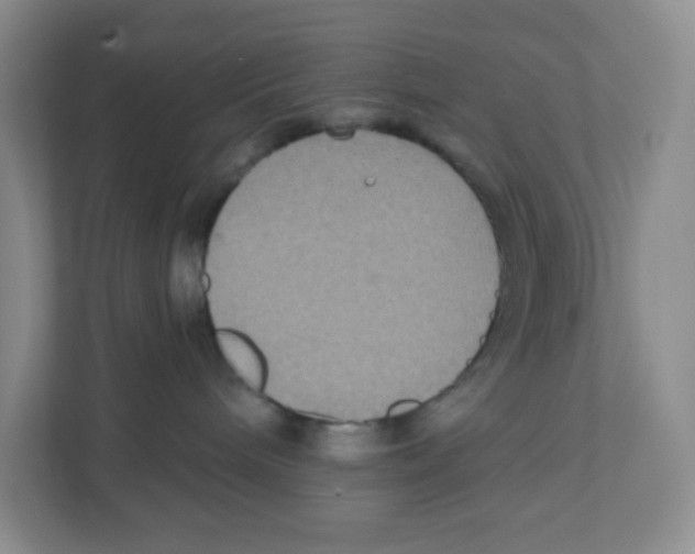 X0000111830240200908201157