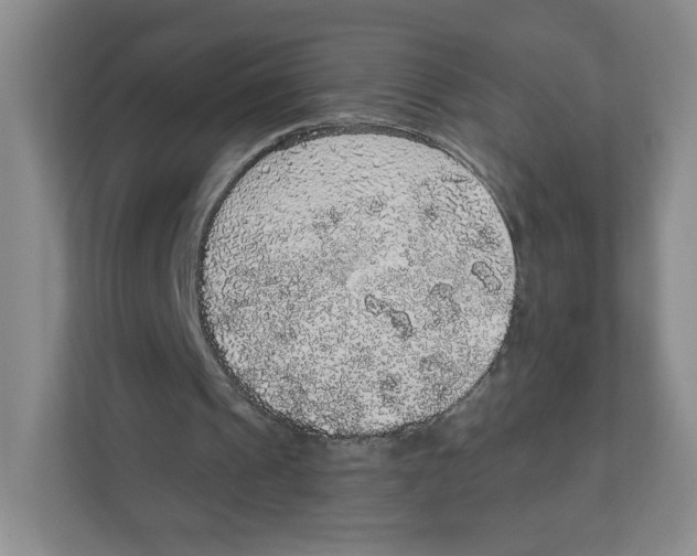 X0000111830241200908201157