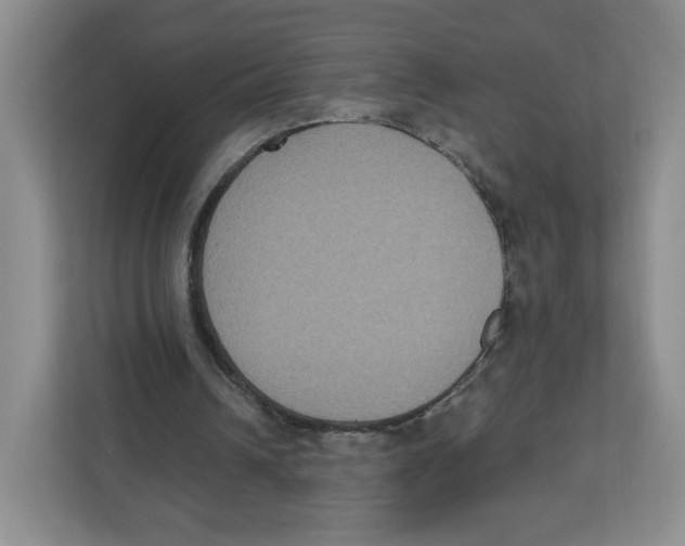 X0000111830242200908201157