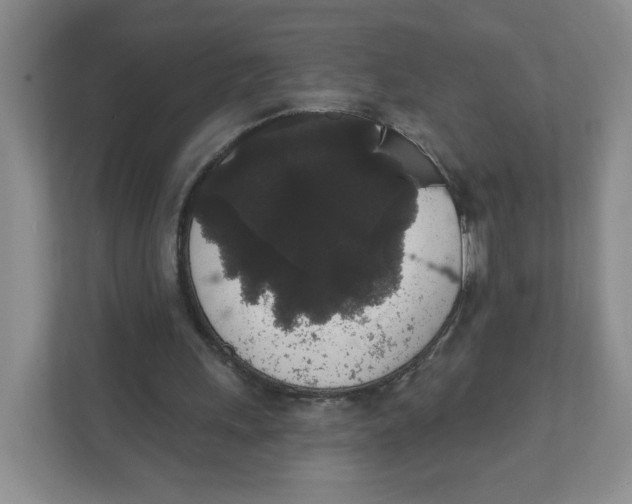 X0000111830243200908201157