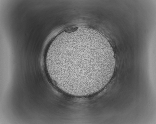 X0000111830245200908201157