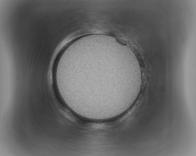 X0000111830246200908201157