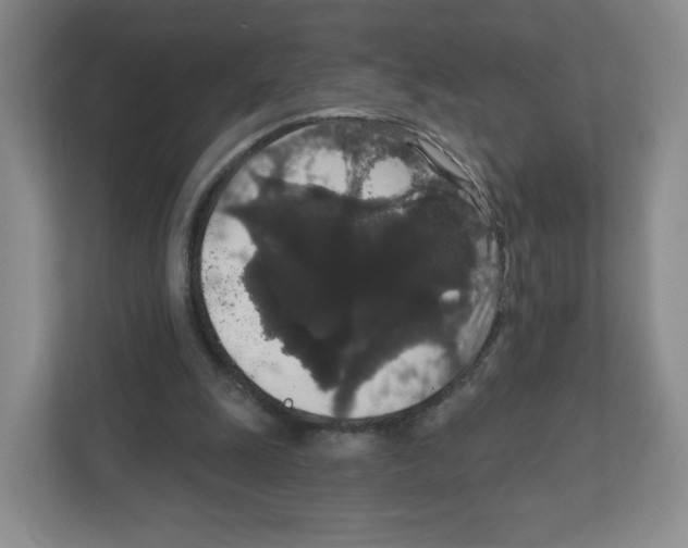 X0000111830247200908201157